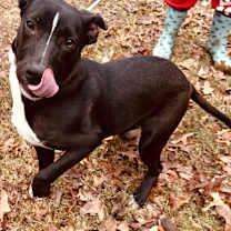 Thumbnail photo of Nemo #2