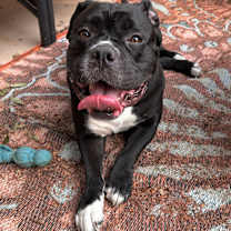 Thumbnail photo of Salt #1