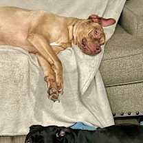 Thumbnail photo of Salt #2