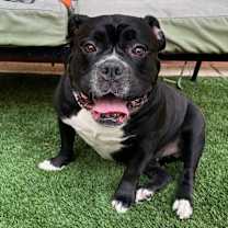 Thumbnail photo of Salt #3