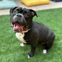 Thumbnail photo of Salt #4