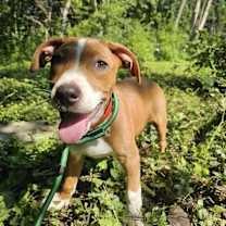 Thumbnail photo of Em #1