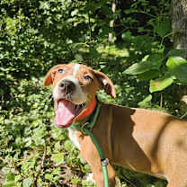 Thumbnail photo of Em #2