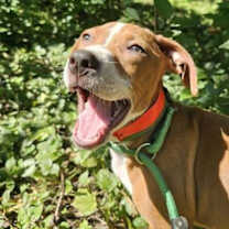 Thumbnail photo of Em #3