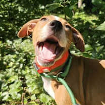 Thumbnail photo of Em #4