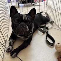 Thumbnail photo of Kelsey #1