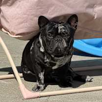 Thumbnail photo of Kelsey #2