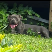 Thumbnail photo of Momma #1