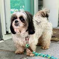 Thumbnail photo of Theo D6096 #3