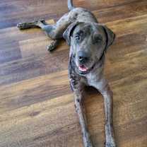 Thumbnail photo of Zeus #2