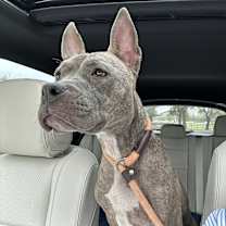 Thumbnail photo of Millie #2