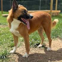 Thumbnail photo of Princess 7991 #1