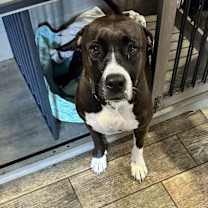 Thumbnail photo of Blue Ridge #4