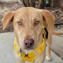 Thumbnail photo of Aria #1