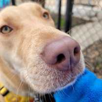 Thumbnail photo of Aria #3