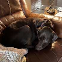 Thumbnail photo of Honey #4