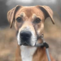 Thumbnail photo of Destin #1