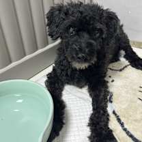 Thumbnail photo of Rabu #1