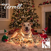 Thumbnail photo of Terrell #1