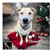 Thumbnail photo of Terrell #2