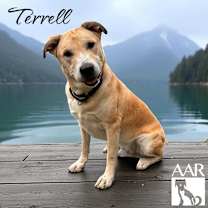 Thumbnail photo of Terrell #3