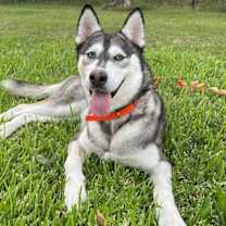 Thumbnail photo of Maggie #3