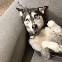 Thumbnail photo of Maggie #4