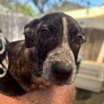 Thumbnail photo of Jingle #2