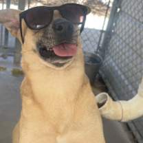 Thumbnail photo of TIANA* #4