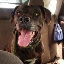 Thumbnail photo of Happy* #1