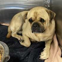 Thumbnail photo of CHUCO #2