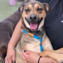 Thumbnail photo of Fern* #2