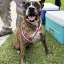 Thumbnail photo of Sabrina #2