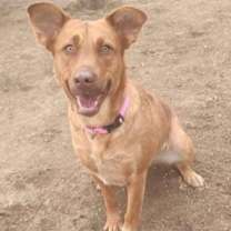 Thumbnail photo of Laura Lee #1