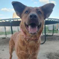 Thumbnail photo of Laura Lee #3