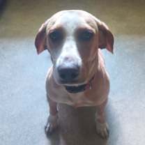 Thumbnail photo of Darrel/Paul #1