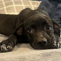 Thumbnail photo of Jane #3