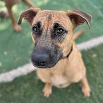 Thumbnail photo of Ramona #4