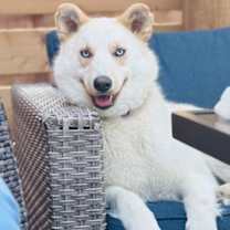 Thumbnail photo of Milly #1