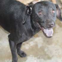 Thumbnail photo of Wanda #2