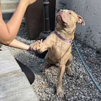 Thumbnail photo of Sandry #2