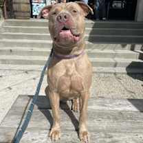 Thumbnail photo of Sandry #3