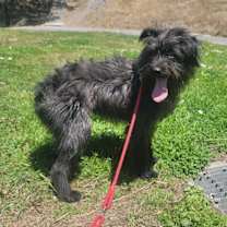 Thumbnail photo of Bailey #4