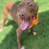 Thumbnail photo of Wane #1