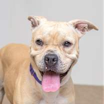 Thumbnail photo of Daisy #1