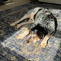 Thumbnail photo of Gary #4