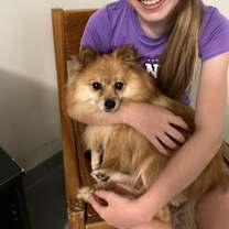 Thumbnail photo of Tangerine #2