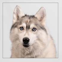 Thumbnail photo of Summer #2