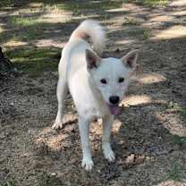 Thumbnail photo of James #4