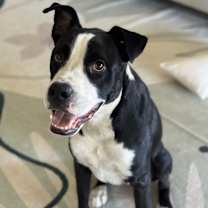 Thumbnail photo of Jax #2